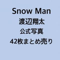 Snow Man 渡辺翔太 公式写真 42枚まとめ売りのサムネイル