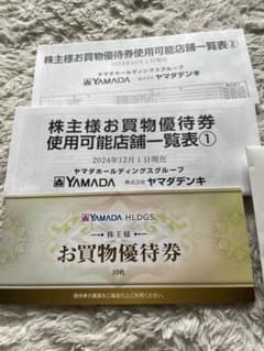 ヤマダ電機　株主優待　お買物優待券　500円×10枚　5000円分のサムネイル