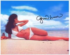 m33697377864_1.jpg?1706263893