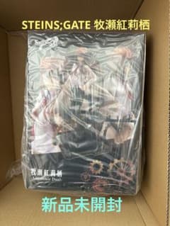 STEINS;GATE 마키세 홍리스 -Antinomic Dual-