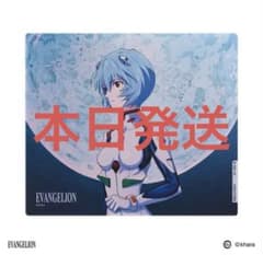 未開封 WALLHACK SP-005 EVANGELION 綾波レイ 海外限定 - メルカリ