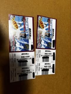 ナガシマスパーランド ジャンボ海水プール 特別入場券 2枚のサムネイル