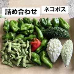 ミニゴーヤ・ミニピーマン・枝豆　野菜セットのサムネイル