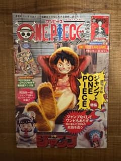 ONE PIECE magazine Vol.20 付録カード付 - メルカリ