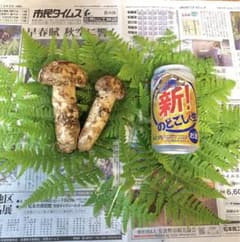 松茸　170g  長野県中信産のサムネイル