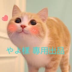 やよ樣 專用出品のサムネイル