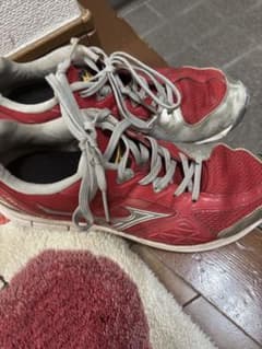 MIZUNO 野球トレーニングシューズ 27.0cmのサムネイル