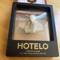HOTELO 蛾のブローチのサムネイル