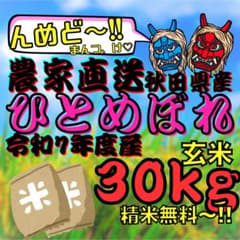 一等米☆秋田県産 ひとめぼれ 玄米 30kg - メルカリ