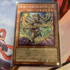 m33704508752_1.jpg?1761549833