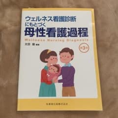 ウェルネス看護診断にもとづく母性看護過程のサムネイル