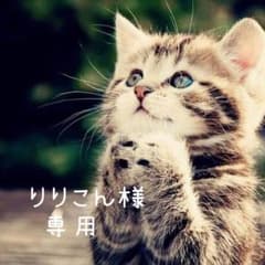 りりこん様専用  キッズＴシャツ３枚セット【120㎝】のサムネイル