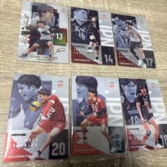 男子バレーボール 日本代表 ツインウエハース 6枚セットのサムネイル