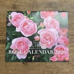 m33707725832_1.jpg?1761916689