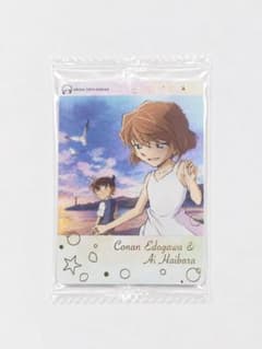 名探偵コナン 江戸川コナン 灰原哀 カードのサムネイル
