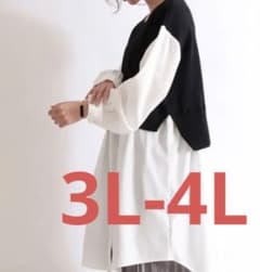 大きいサイズ レディース チュニック　フェイクレイヤード　3L - 4Lのサムネイル