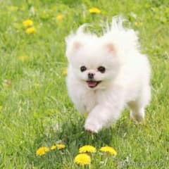 そらくんママ様専用★取り置き　大きいサイズ　ワンピースのサムネイル