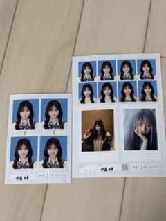 伊藤彩華 seju 証明写真セットのサムネイル