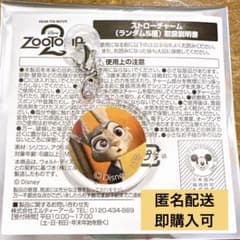 주트 피어 2 오마이 카페 스트로 매력 주디