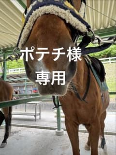 ポテチ様専用 hit-air 乗馬用プロテクターベストのサムネイル