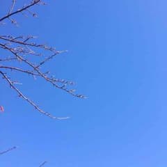 ひよこまめさん専用のサムネイル