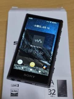 SONY ウォークマン NW-A306 本体 32GBのサムネイル