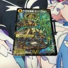 竜チャングンソン様専用 ネバーラストのサムネイル