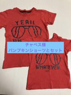 Tシャツ 80と110 2枚セット　兄弟お揃いのサムネイル