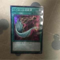 ハーピィの羽根箒 ミレニアムのサムネイル