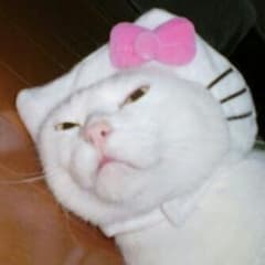 古賀組様専用のサムネイル