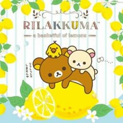 リーコ様専用ページのサムネイル