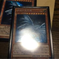 専用品 真竜のサムネイル