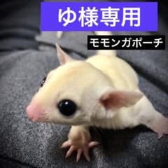 モモンガ 三角ポーチ ハウス おうち Mサイズ ハンドメイド - メルカリ