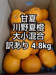 ②♢甘夏(川野夏橙)大小混合訳あり4.8kg箱込1380円のサムネイル