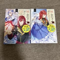 妹に婚約者を譲れと言われました 1巻 2巻セットのサムネイル