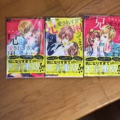 兄に愛されすぎて困ってます。のサムネイル