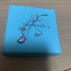 今週限定値下げ　ティファニー　Tiffany ビーンネックレスのサムネイル