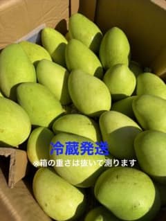 ベトナム産グリーンマンゴー10〜10.1kg冷蔵発送 ベトナム産グリーンマンゴー1〜1.1kg(3〜6個)冷蔵発送 - メルカリ