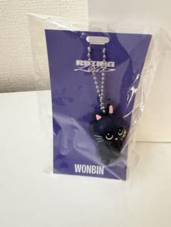 RIIZE ラバーキーホルダー WONBINのサムネイル