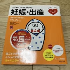 はじめてママ&パパの妊娠・出産 妊娠中の不安解消から産後ケアまでこの一冊で安心!のサムネイル