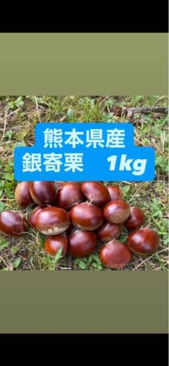 熊本県産　生栗　1kgのサムネイル