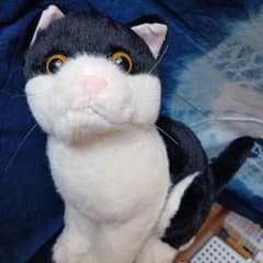 ハチワレ リアルキャット 猫ぬいぐるみ 白黒 タグ付き 匿名配送 新品
