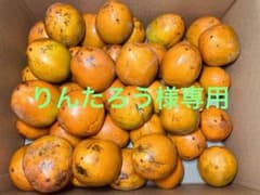 りんたろう様専用【産地直送】宮城県産渋柿（9.2kg）のサムネイル
