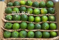 青柚子　無農薬　訳あり　1キロのサムネイル