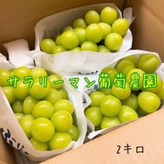 山梨県産採れたてシャインマスカット 2kgのサムネイル