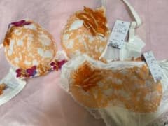 ブラジャー ショーツのサムネイル