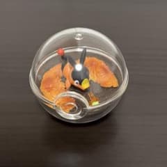 ポケモン　テラリウムコレクション14 ポカブのサムネイル