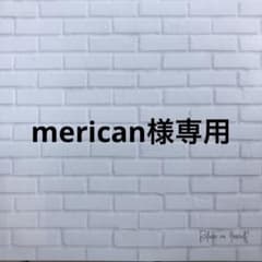 仮置きマスクケース2wayスリムタイプ　2点のサムネイル