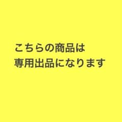 ☆リズム☆様　専用のサムネイル