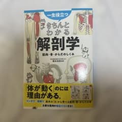 一生役立つ きちんとわかる解剖学 筋肉・骨・からだのしくみのサムネイル